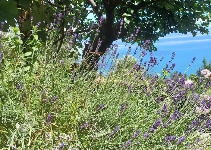 Romantisches Steinhaus Salvia Im Filipasi Feriehus *