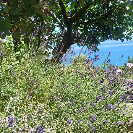 Romantisches Steinhaus Salvia Im Filipasi Feriehus *